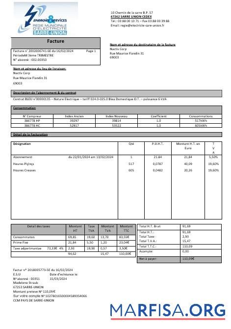Printable France Energies & Services Régie Municipal d’ Electricité Sarre Union electricity business utility bill template in Word and PDF formats, fully editable1